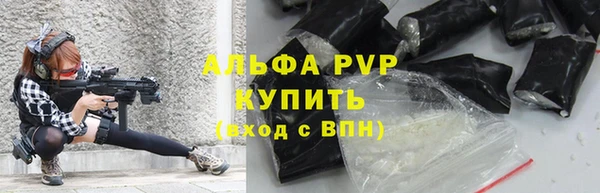 спиды Богородск