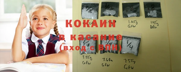 спиды Богородск