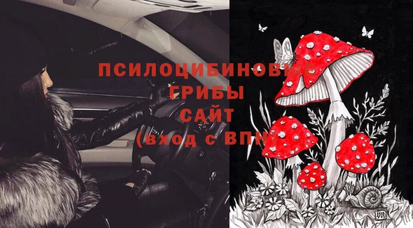дживик Бородино