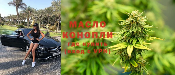 дживик Бородино