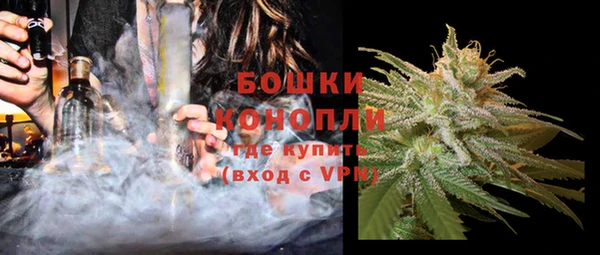 спиды Богородск