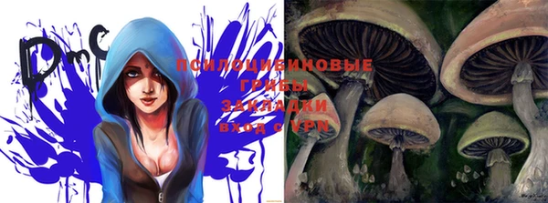 винт Богородицк